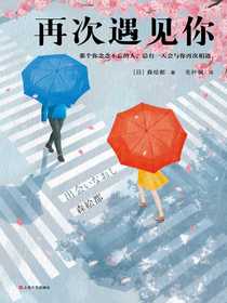 再次遇见你