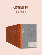 茅盾文学奖作品全集 经典著作