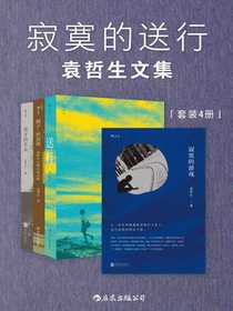 寂寞的游戏