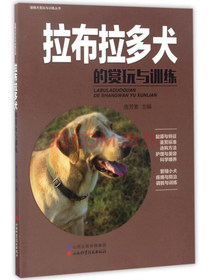 拉布拉多犬的赏玩与训练