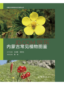 内蒙古常见植物图鉴