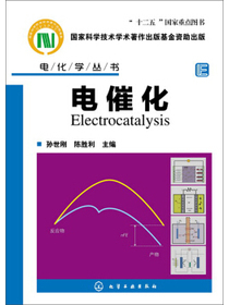 电化学丛书：电催化