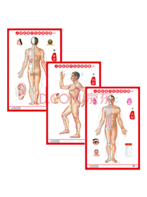 人体经络穴位标准挂图（男性）（3张）中医人体经络挂图 家庭保健养生医学 人体医学挂图
