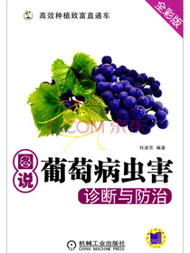 高效种植致富直通车：图说葡萄病虫害诊断与防治（全彩版）