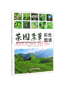 茶园杂草彩色图谱
