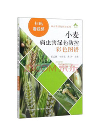 小麦病虫害绿色防控彩色图谱
