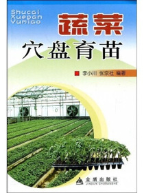 蔬菜穴盘育苗