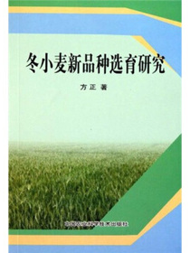 冬小麦新品种选育研究