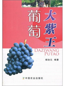 大紫王葡萄