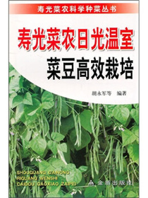 寿光菜农日光温室菜豆高效栽培
