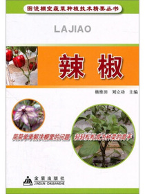 辣椒