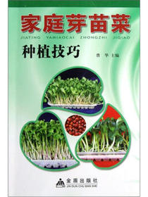 家庭芽苗菜种植技巧