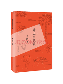 王朔 看上去很美