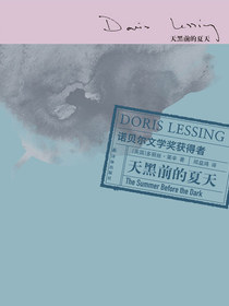 天黑前的夏天