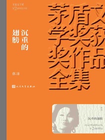 沉重的翅膀