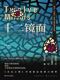 十二镜面