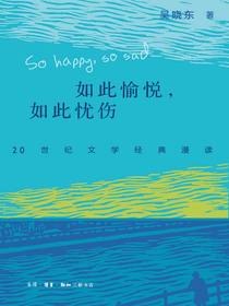 如此愉悦，如此忧伤：20世纪文学经典漫读
