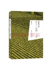 安徽文艺出版社 恋上一座城