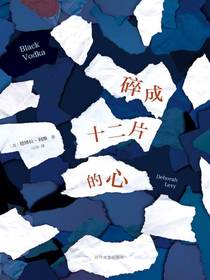 碎成十二片的心