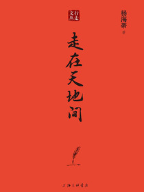 走在天地间（行走文丛）