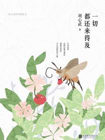 一切都还来得及：刘心武经典散文