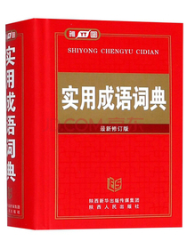 实用成语词典（最新修订版）