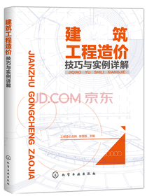 建筑工程造价技巧与实例详解