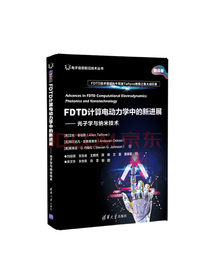 电子信息前沿技术丛书·FDTD计算电动力学中的新进展：光子学与纳米技术