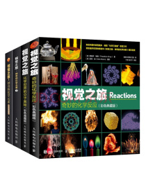 视觉之旅神奇的化学元素 疯狂趣味化学科普书籍（套装四册）