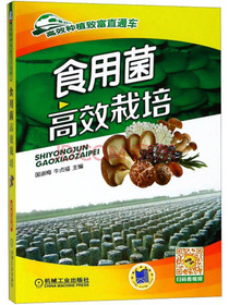 食用菌高效栽培/高效种植致富直通车