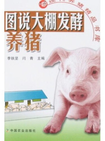 图说大棚发酵养猪