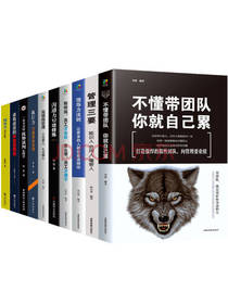 《企业管理书籍》套装