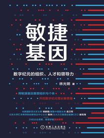 敏捷基因：数字纪元的组织、人才和领导力
