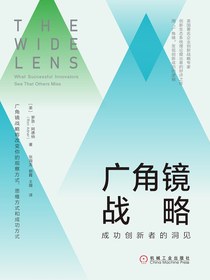 广角镜战略：成功创新者的洞见