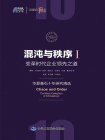 混沌与秩序Ⅰ：变革时代企业领先之道