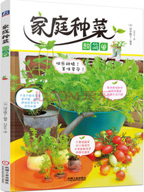 家庭种菜超简单