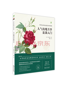 人气玫瑰月季盆栽入门
