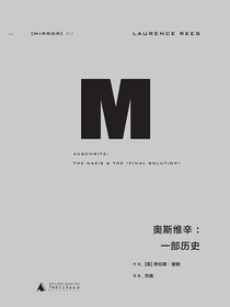 奥斯维辛 : 一部历史