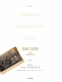 美丽与哀愁：第一次世界大战个人史