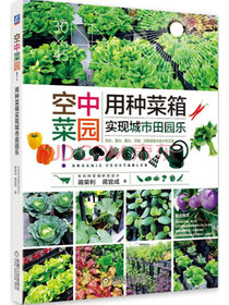 空中菜园：用种菜箱实现城市田园乐
