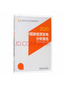 能源与电力分析年度报告系列：2020中国新能源发电分析报告