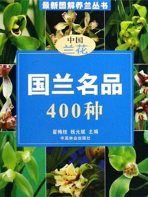国兰名品400种