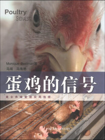 蛋鸡的信号