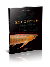 龙鱼的养护与鉴赏