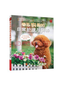 卷毛狗狗的日常护理与驯养