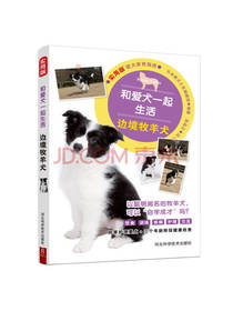 和爱犬一起生活边境牧羊犬
