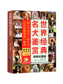 福建科技出版社世界经典名犬鉴赏