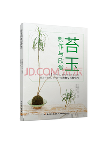 苔玉制作与欣赏 绿植新玩法