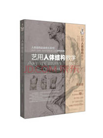 艺用人体结构教学