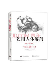 艺用人体解剖